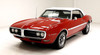 Firebird & Trans Am